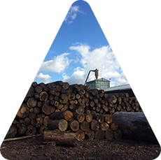 Madera de primera calidad