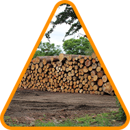 Madera de primera calidad