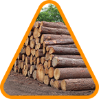 Madera de alta calidad